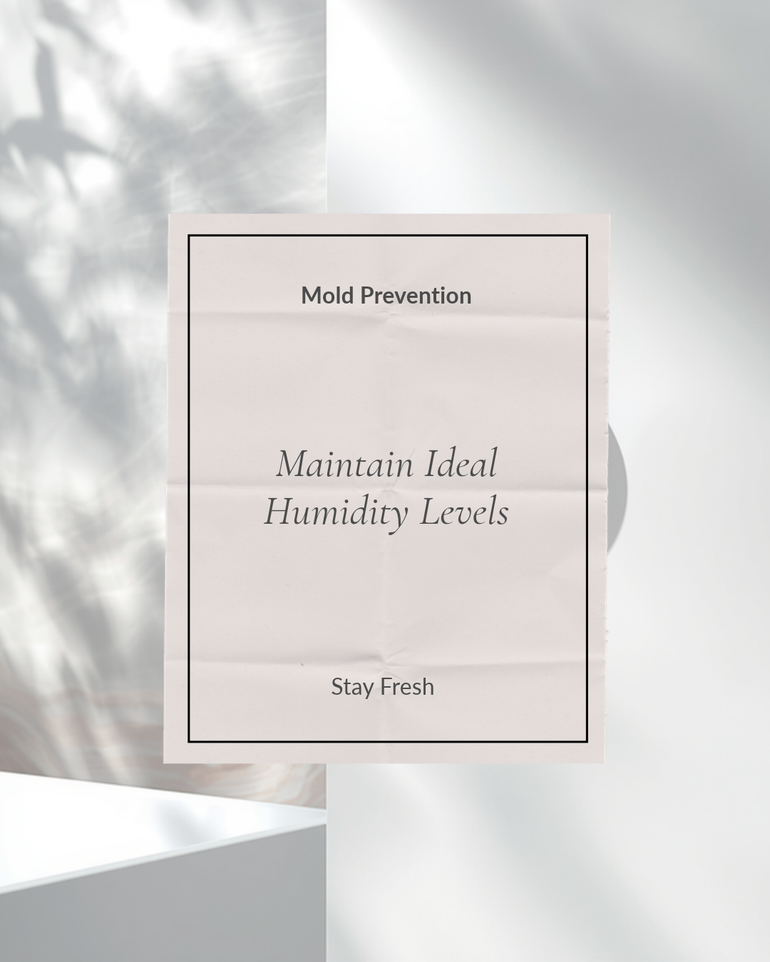 What Humidity Level Actually Prevents Mold