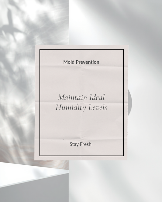 What Humidity Level Actually Prevents Mold